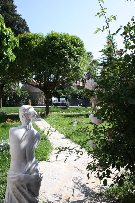 L'Abri Du Poete Bed & Breakfast Besse-sur-Issole Luaran gambar