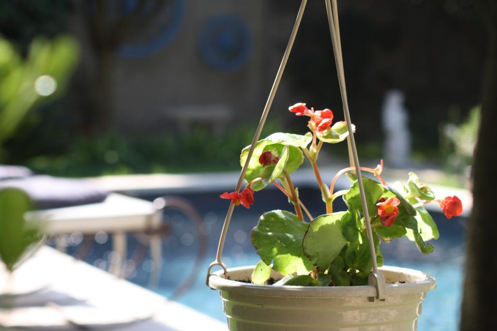L'Abri Du Poete Bed & Breakfast Besse-sur-Issole Luaran gambar
