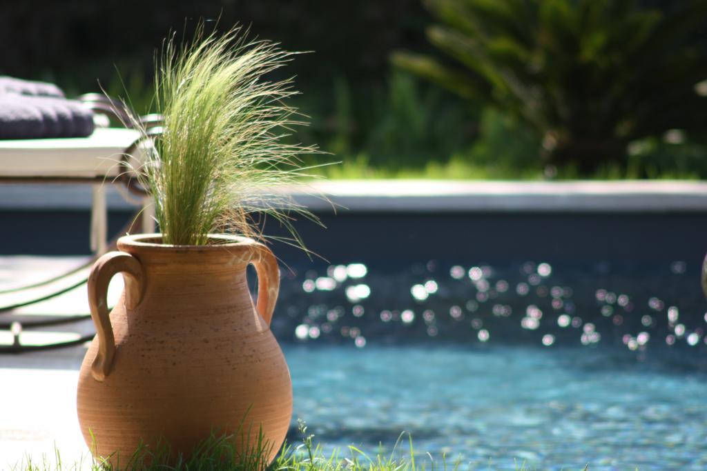L'Abri Du Poete Bed & Breakfast Besse-sur-Issole Luaran gambar