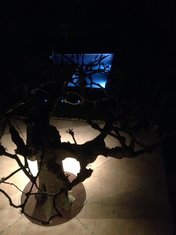 L'Abri Du Poete Bed & Breakfast Besse-sur-Issole Luaran gambar
