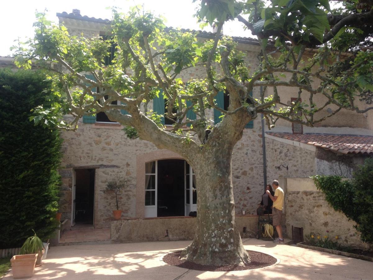 L'Abri Du Poete Bed & Breakfast Besse-sur-Issole Luaran gambar